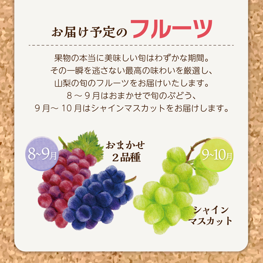 【2回お届け！】旬のフルーツ定期便（おまかせ旬のぶどう・シャインマスカット）
