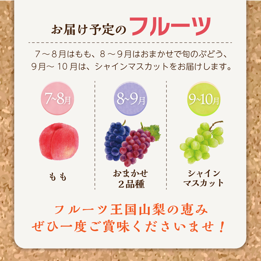 【3回お届け！】旬のフルーツ定期便