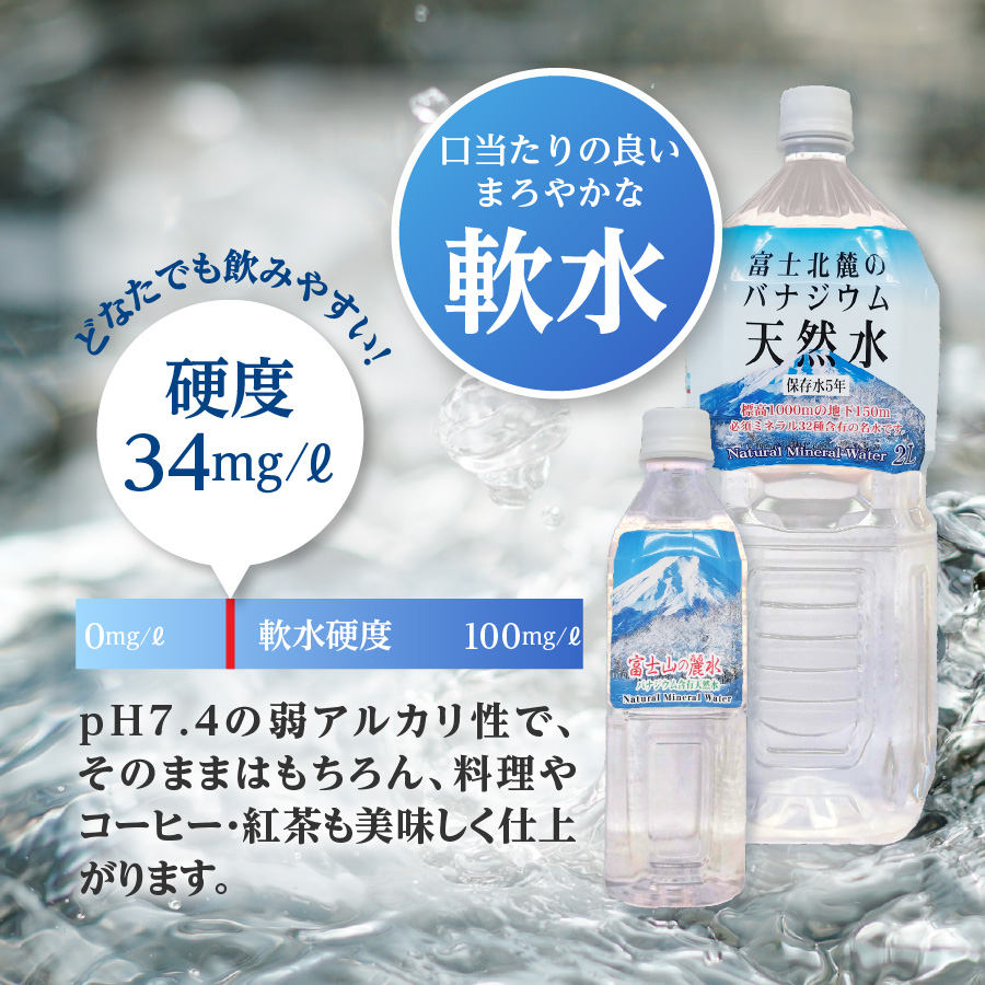 【12か月お届け】富士山の麗水 500ml 48本