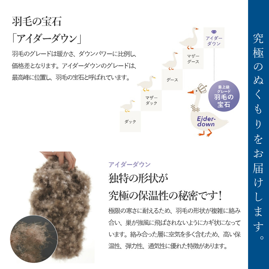 【甲州羽毛本掛けふとん】銀の糸×アイダーダウン95%二層本掛け (キング / アイボリー) お任せカバー付き