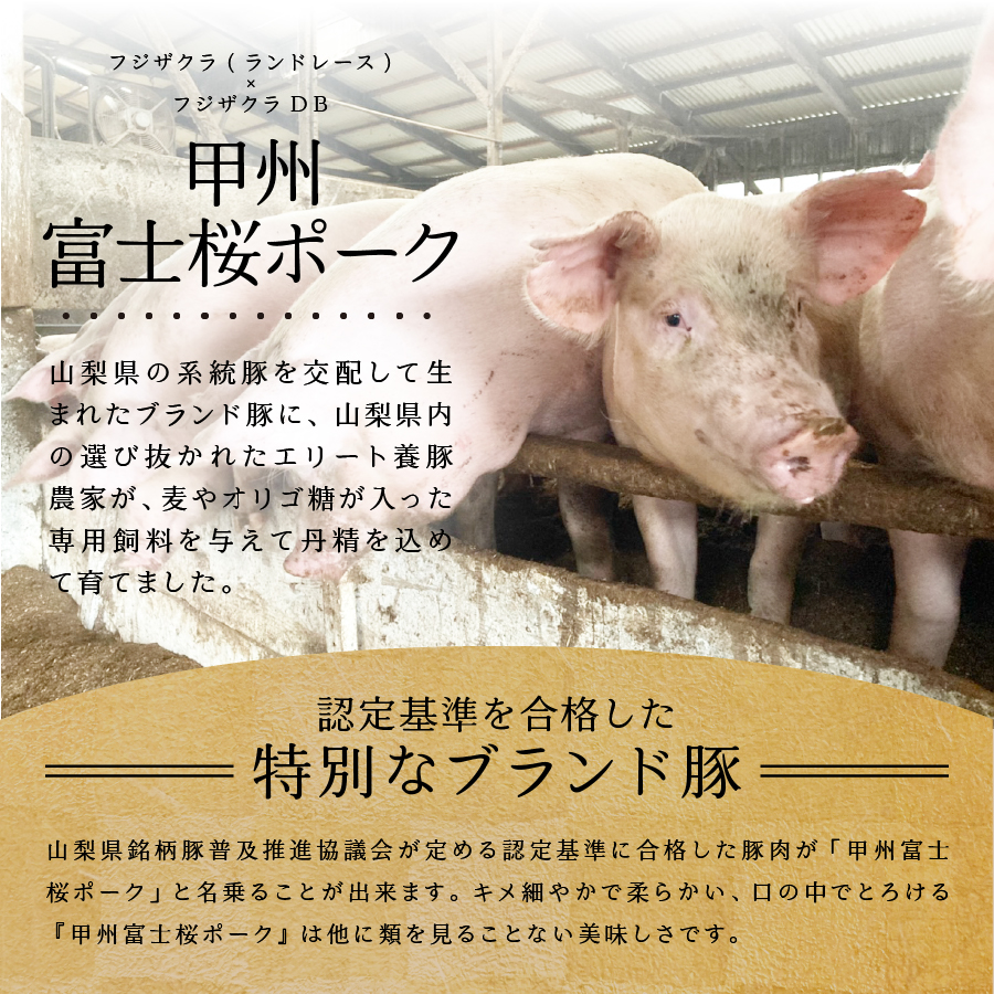 山梨県産　熟成肉ハンバーグ10個セット