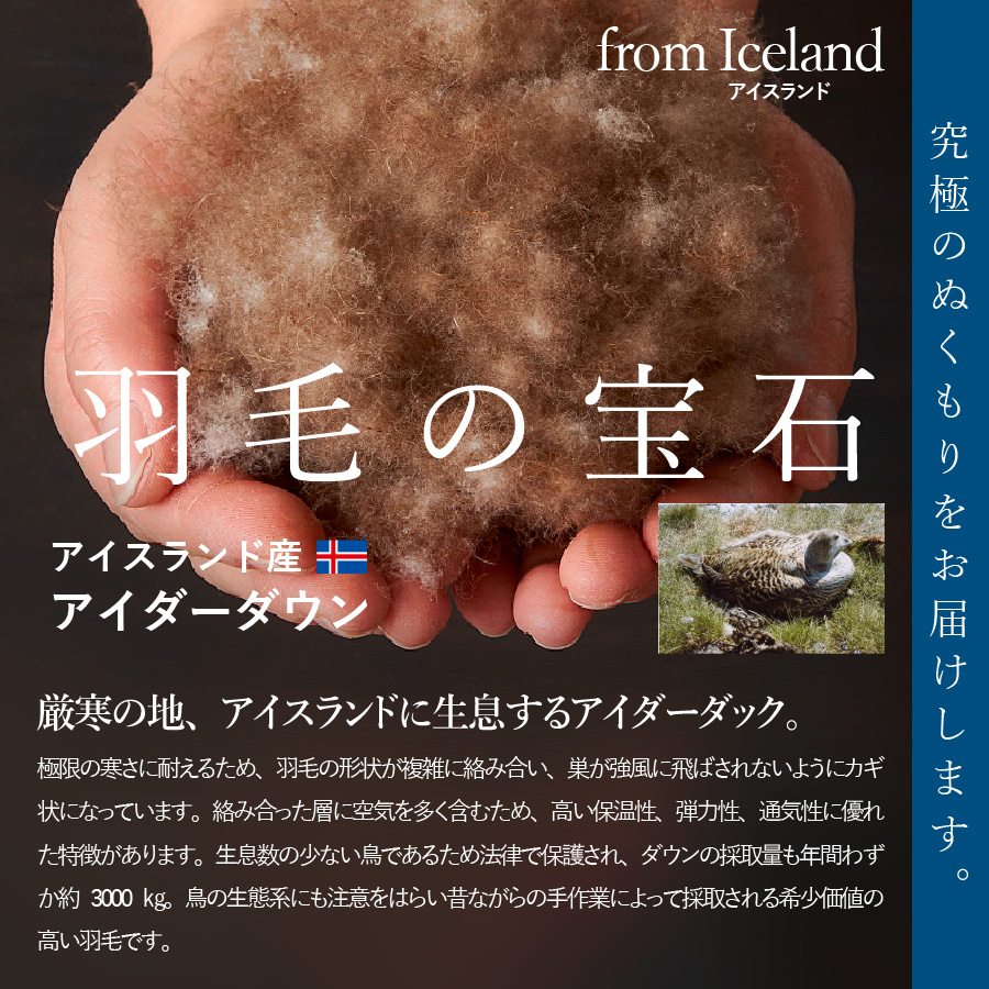 【甲州羽毛本掛けふとん】シルク100％ジャガード織りアイダーダウン95％(シングル）二層式・カバー付き