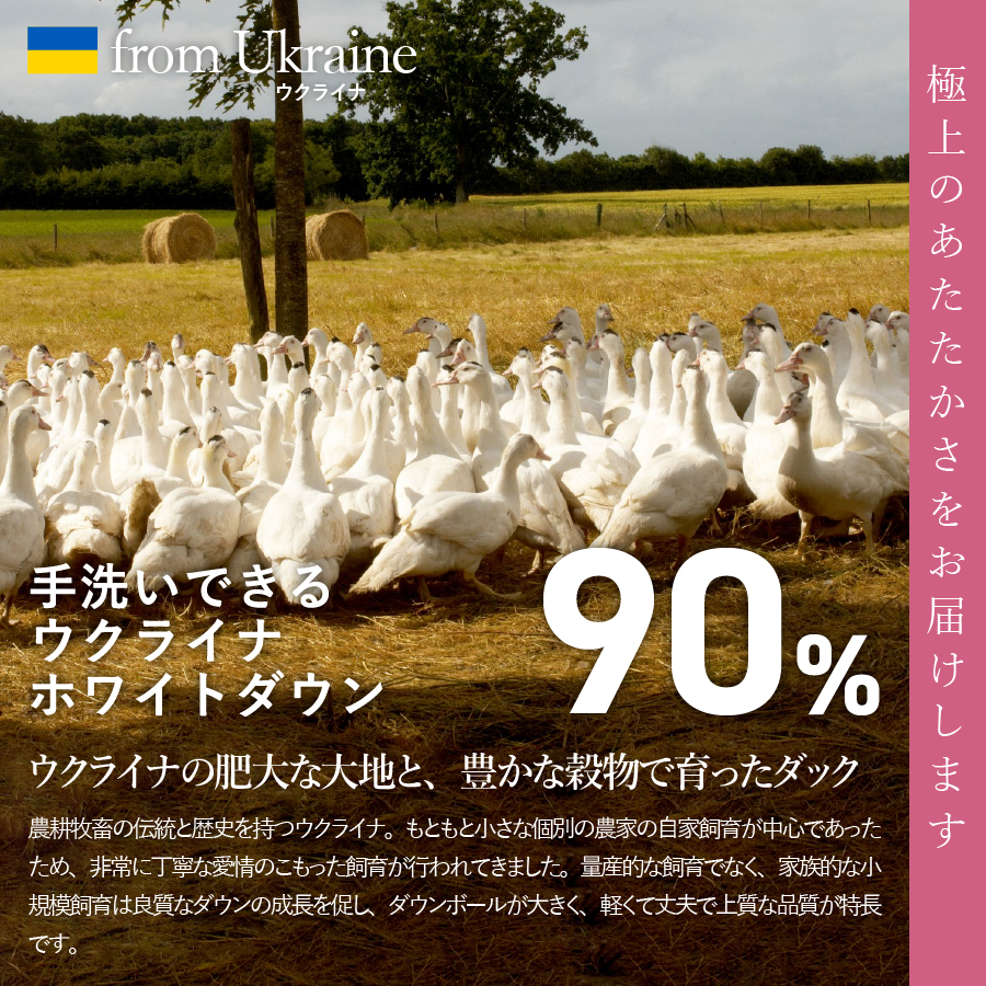 【甲州羽毛合掛けふとん】手洗いできるウクライナホワイトダウン90% ホワイト（セミダブル) ふとんカバー付