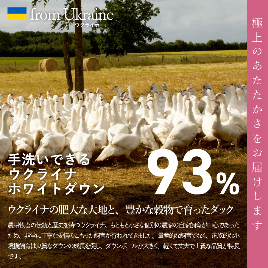 【甲州羽毛2枚合わせふとん】手洗いできるウクライナホワイトダウン93% ホワイト（ダブル) ふとんカバー付