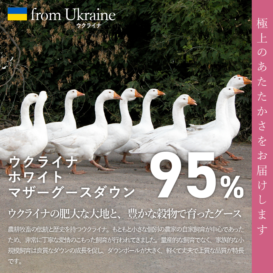 【甲州羽毛合掛けふとん】ウクライナホワイトマザーグース95%抗菌の糸 ホワイト（ダブル) ふとんカバー付