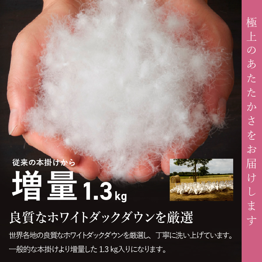 期間限定 【数量限定！緊急支援品　訳あり】甲州羽毛ふとん　本掛けふとん増量1.3kg （シングル/お任せ柄）ダウン85％　暖色