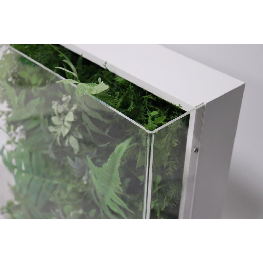 高級インテリアグリーン　Lサイズ