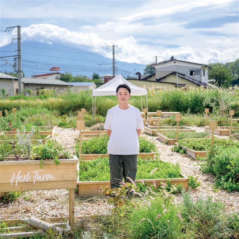 メール便発送 ハーブティーセット(シトラス＆カモミール) ティーバッグ20個