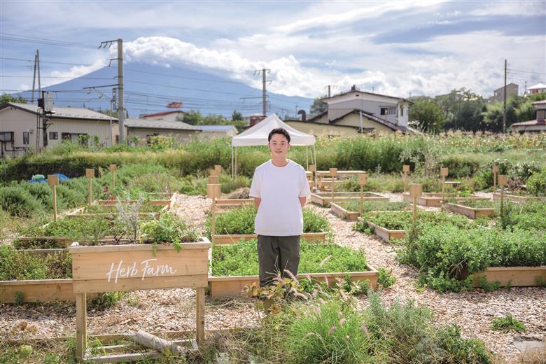 メール便発送 ハーブティーお試しセット（ミント＆レモン・シトラス＆カモミール）ティーバッグ5個×2種
