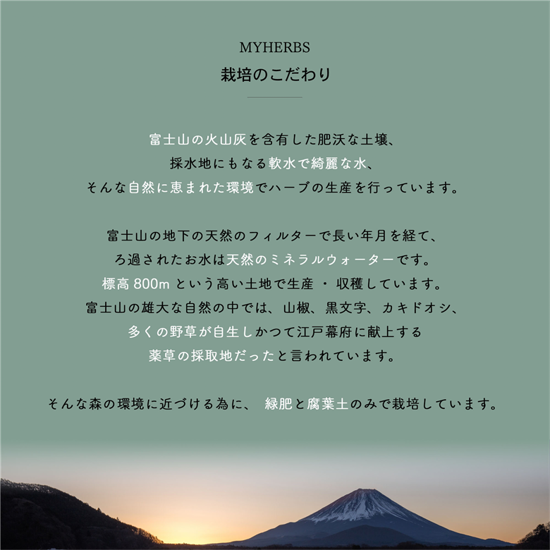 メール便発送 ハーブティーセット(ミント&レモン) ティーバッグ40個