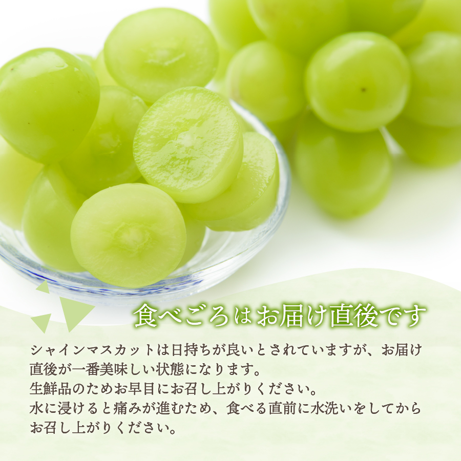 【2026年発送 先行予約】山梨県産シャインマスカット2kg(3～5房)