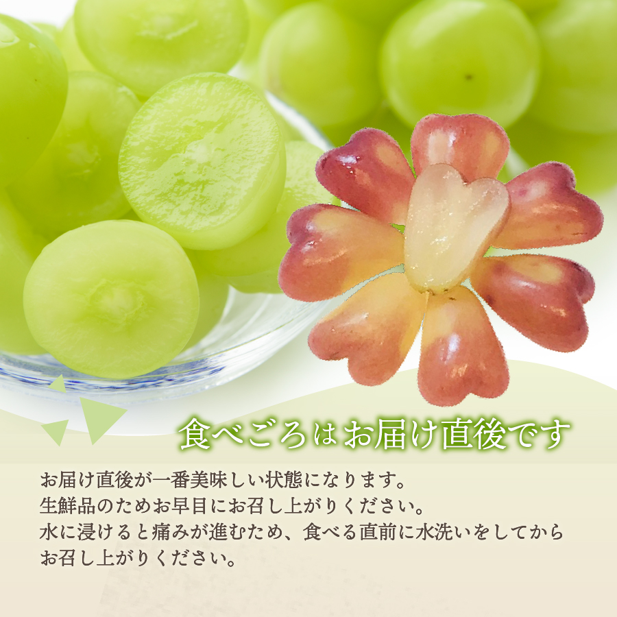 ぶどう　3種アソート