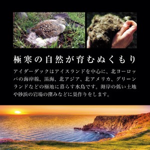 【老舗寝具メーカーロマンス小杉監修】羽毛の宝石「アイダーダウン」の羽毛肌掛けふとん(シングル) エンジ
