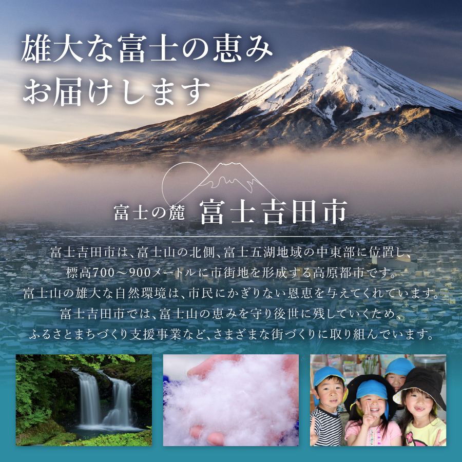 富士吉田市オリジナルマスキングテープ 30mm幅 ふじよしだアラカルト