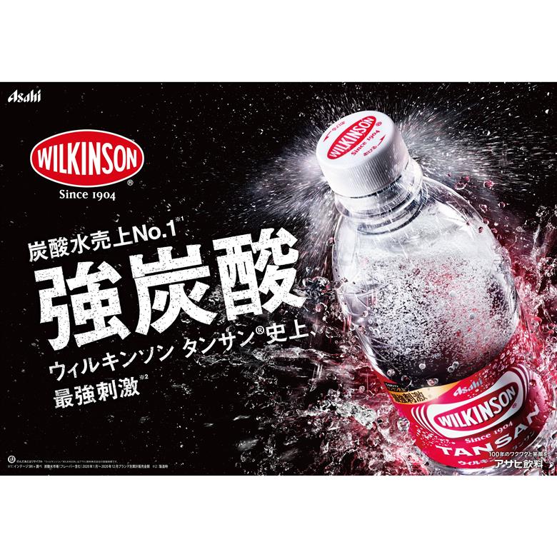 【訳あり】【炭酸水】ウィルキンソン　タンサン　PET500ml×1箱(24本)【TAC】