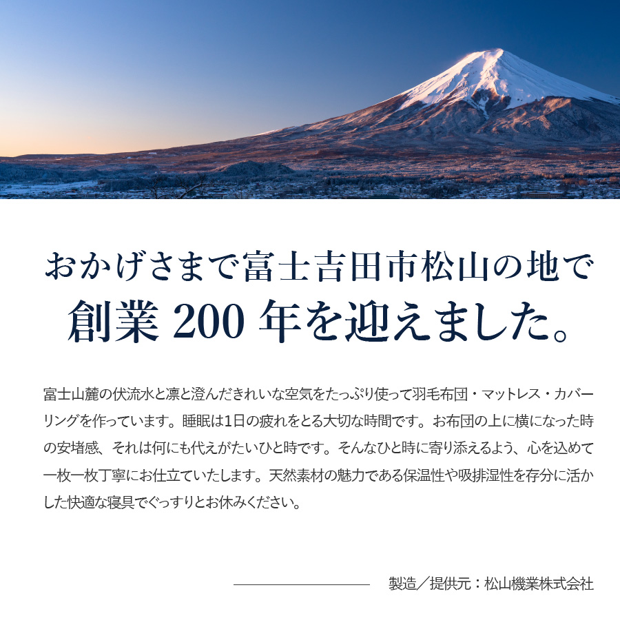本掛けの羽毛布団セミダブル青雀色　ポーランド産400dpグース【ダニ忌避率98.8％】