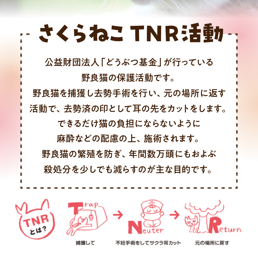 メール便発送【訳あり】野良猫保護支援 さくらねこ ブレンドコーヒー 富士山の湧き水で磨いた スペシャルティコーヒー ドリップ 12g×24袋