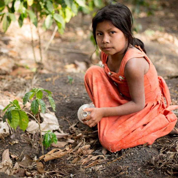 メール便発送【訳あり】フェアトレード ブレンドコーヒー 富士山の湧き水で磨いた スペシャルティコーヒー 粉 400g