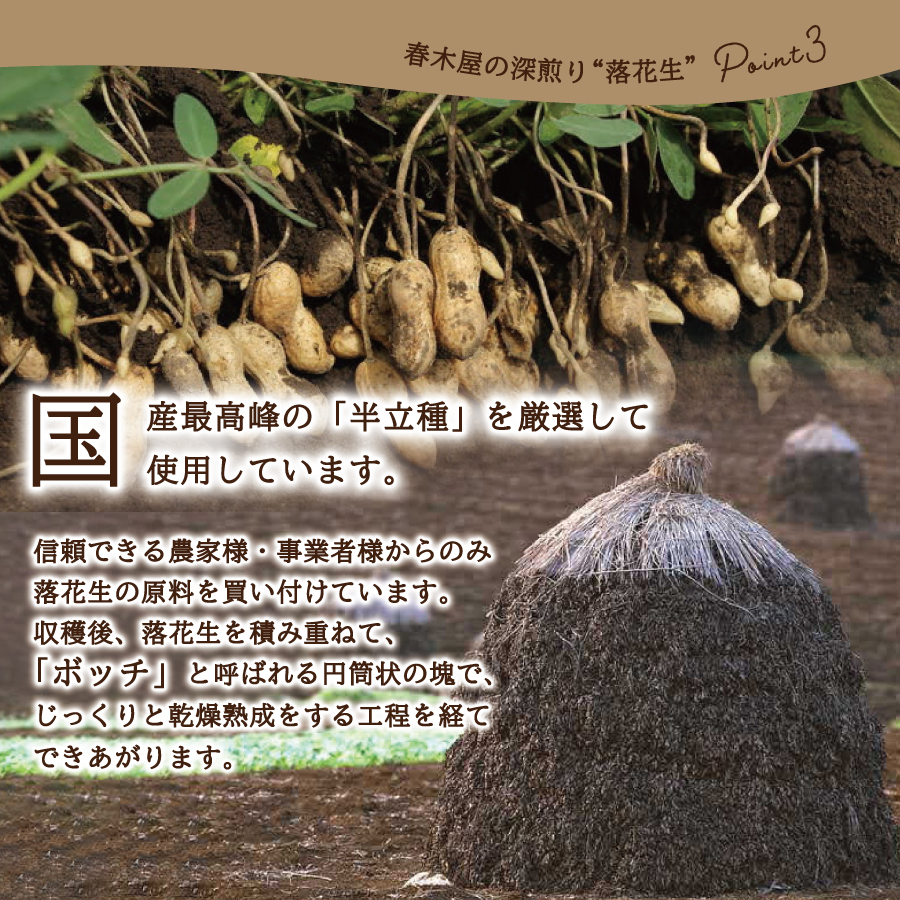 【メール便発送】コーヒー屋が焙煎した深煎り「落花生」　自家焙煎　１２０ｇ×２袋　国産最高峰半立種　富士の湧水を利用した加熱水蒸気焙煎　カリッと甘く長い余韻