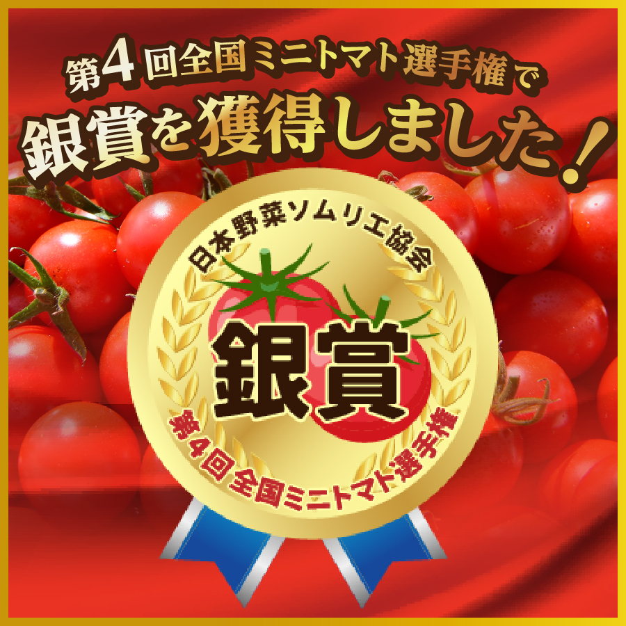 FUJITOMA　（フルーツトマト）　1kg