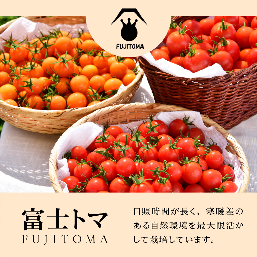 【限定50個】　無添加のフルーツトマトジャム　FUJITOMAジャム