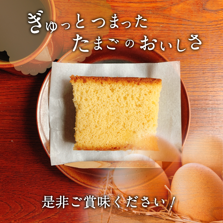 富士みずほカステラ【富士夢和菓子】