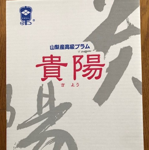 【2025年発送】【数量限定】【期間限定】【高級プラム】貴陽 大玉1.5kg(8玉～9玉)