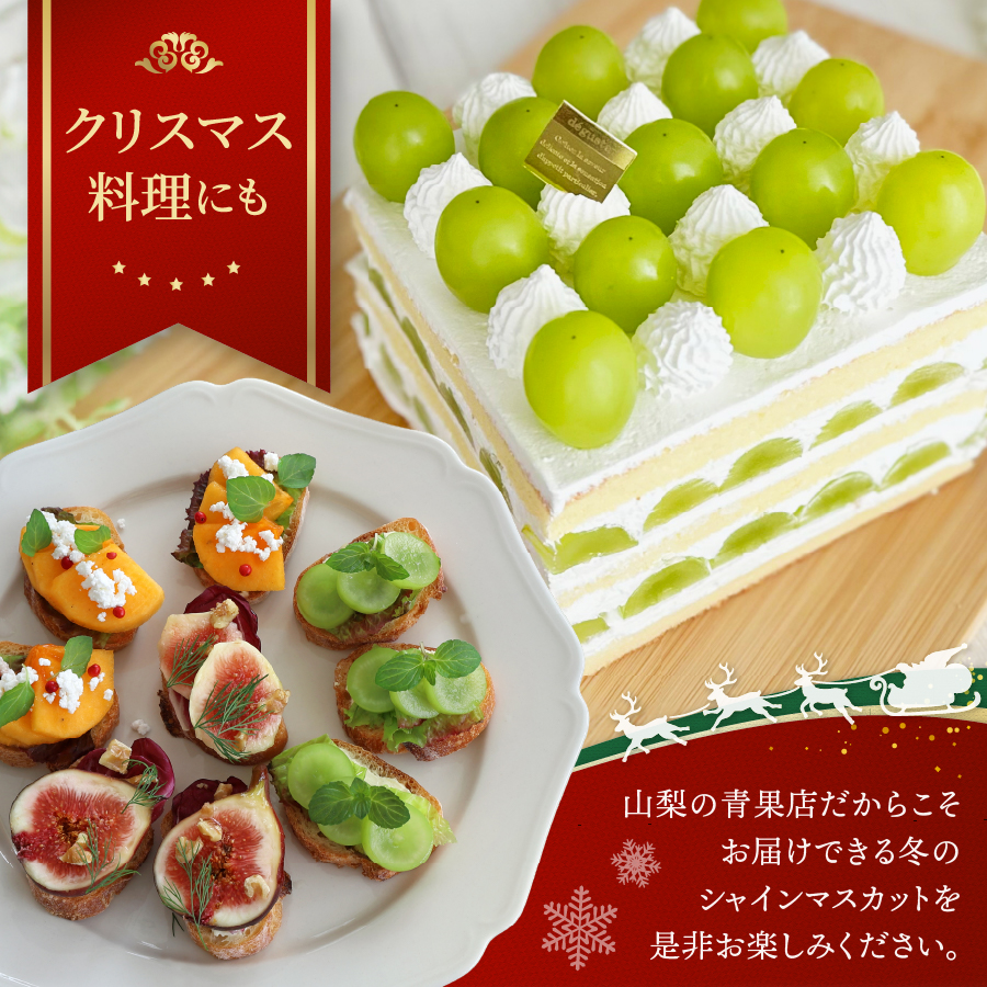 【クリスマスに届く】ジューシーで甘さ抜群　厳選シャインマスカット500g 【2025年12月発送】