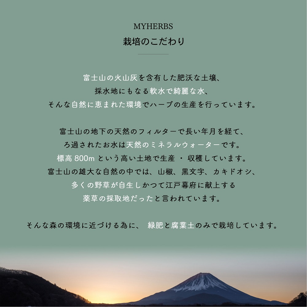 【メール便発送】ハーブティーお試しセット（シトラス＆カモミール）ティーバッグ5個