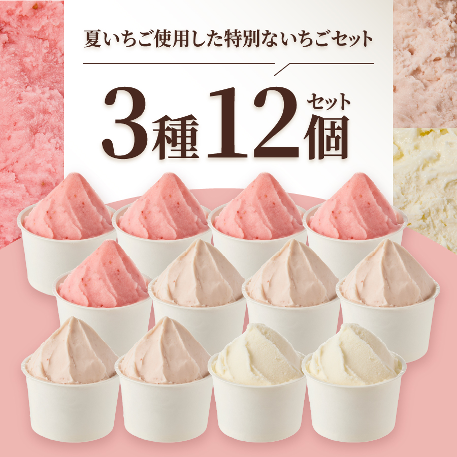 富士山まるごとジェラート　いちご特別セット