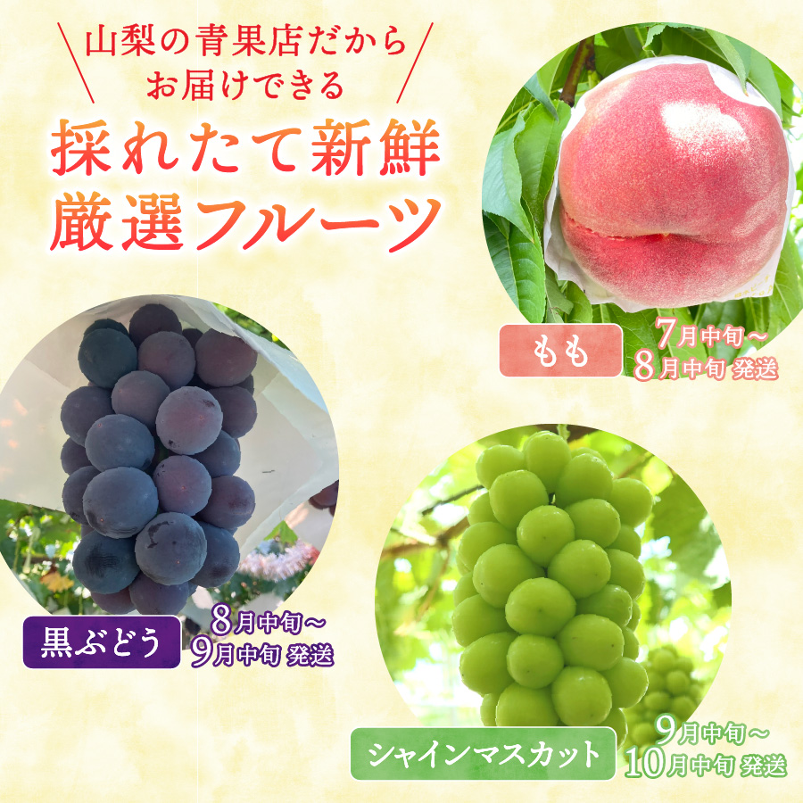 【2026年発送 先行予約】【定期便】 厳選 フルーツ3回定期便