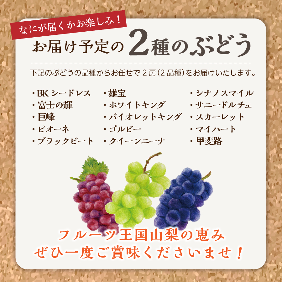 【3回お届け！】旬のフルーツ定期便