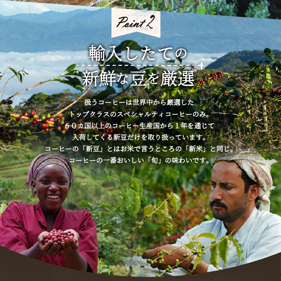 メール便発送【訳ありコーヒー定期便・深煎り】富士山の湧き水で磨いた スペシャルティコーヒー (粉) 6ヶ月