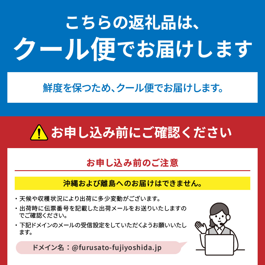 【2025年発送】【2回定期便】山梨県産 旬のフルーツセット(桃・シャインマスカット)