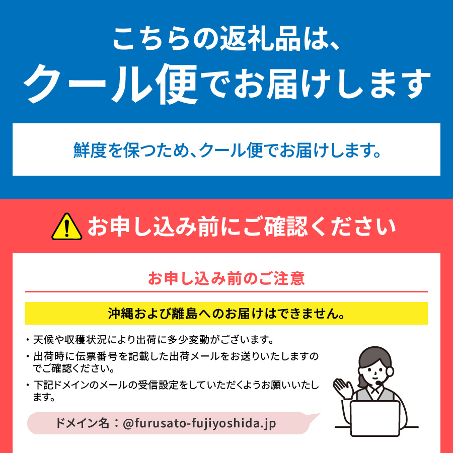 【2025年発送】【2回お届け！】山梨県産 桃 約2kg×2回配送 食べ比べ定期便
