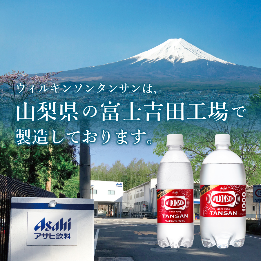 【３ヶ月お届け！】炭酸水 ウィルキンソン　タンサン PET500ml×1箱（24本入）定期便 ３ヶ月 １箱