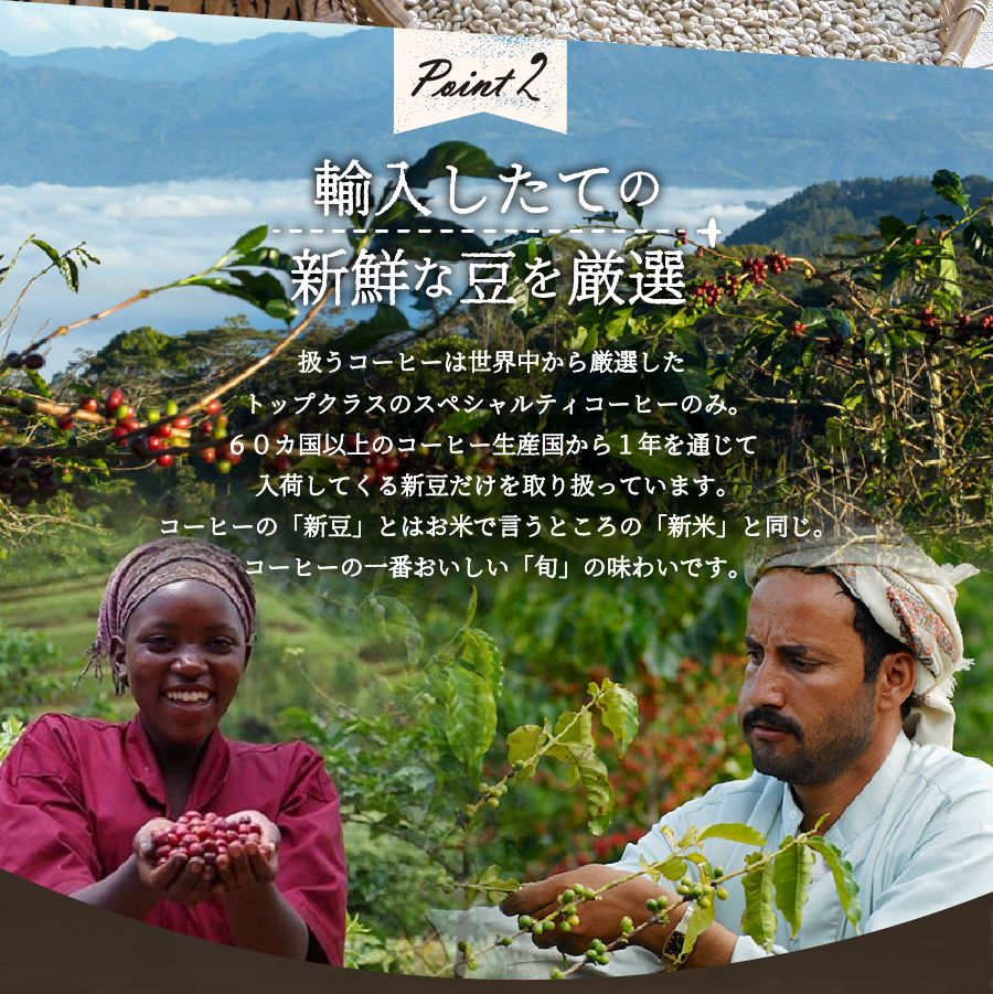 メール便発送【訳ありコーヒー定期便・深煎り】富士山の湧き水で磨いた スペシャルティコーヒー (粉) 3ヶ月