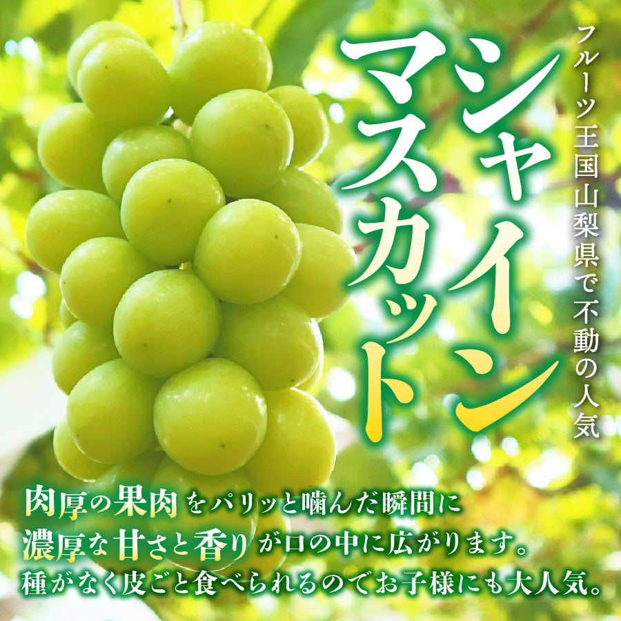 【2026年発送 先行予約】【2回定期便】厳選 旬のフルーツ定期便（桃2kg・シャインマスカット1kg以上）