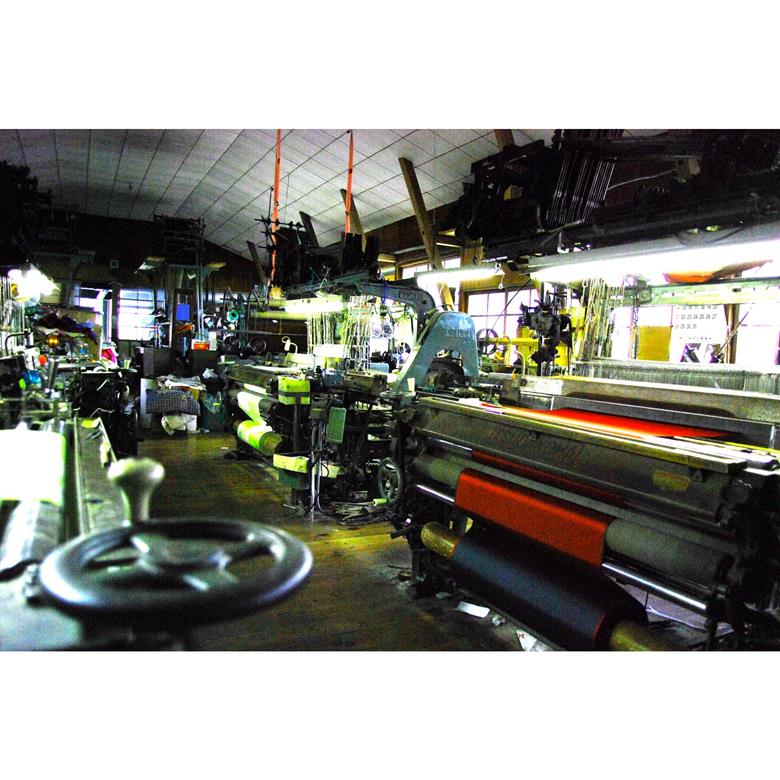 ほぐし織【日傘】　森林/若葉