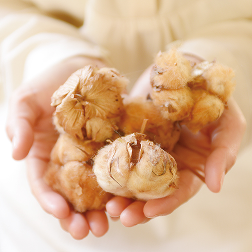 2重織りパジャマ　紳士LL【オーガニックコットン100%】