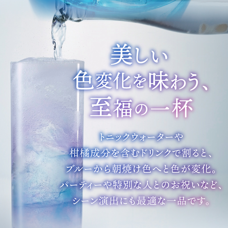 富士山　ブルージン　200ml　1本