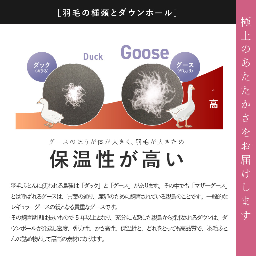 甲州羽毛本掛けふとん】ハンガリープレミアムマザーグース95%シルク混 ...