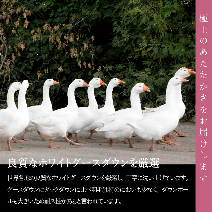 抗菌・抗ウイルス加工羽毛肌掛けふとん（シングル）【甲州羽毛ふとん】