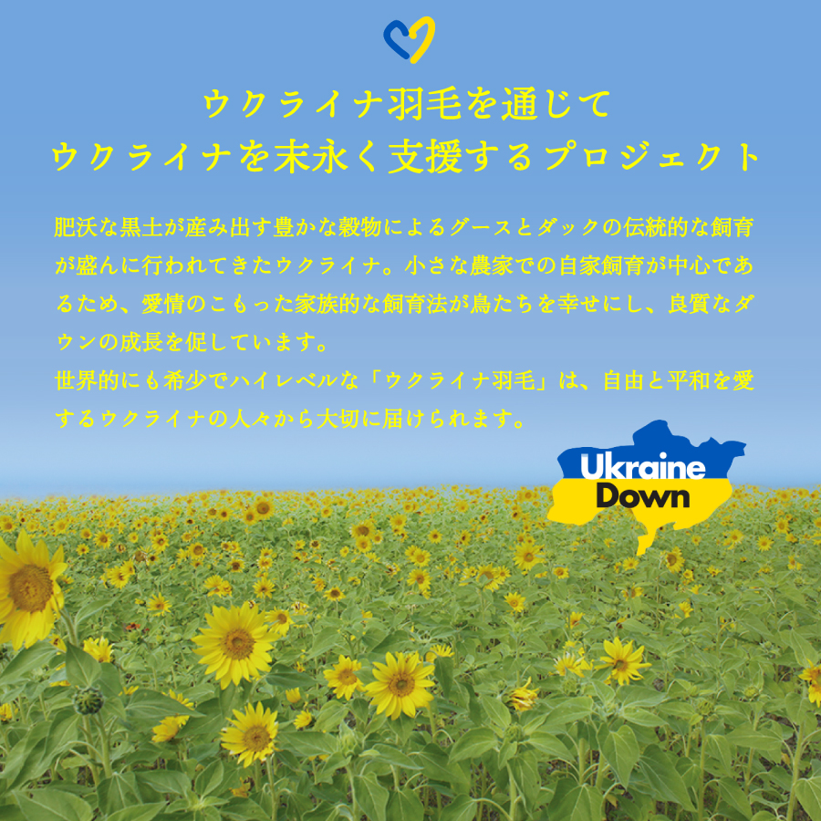 【甲州羽毛2枚合わせふとん】手洗いできるウクライナホワイトダウン90% ホワイト（クイーン) ふとんカバー付