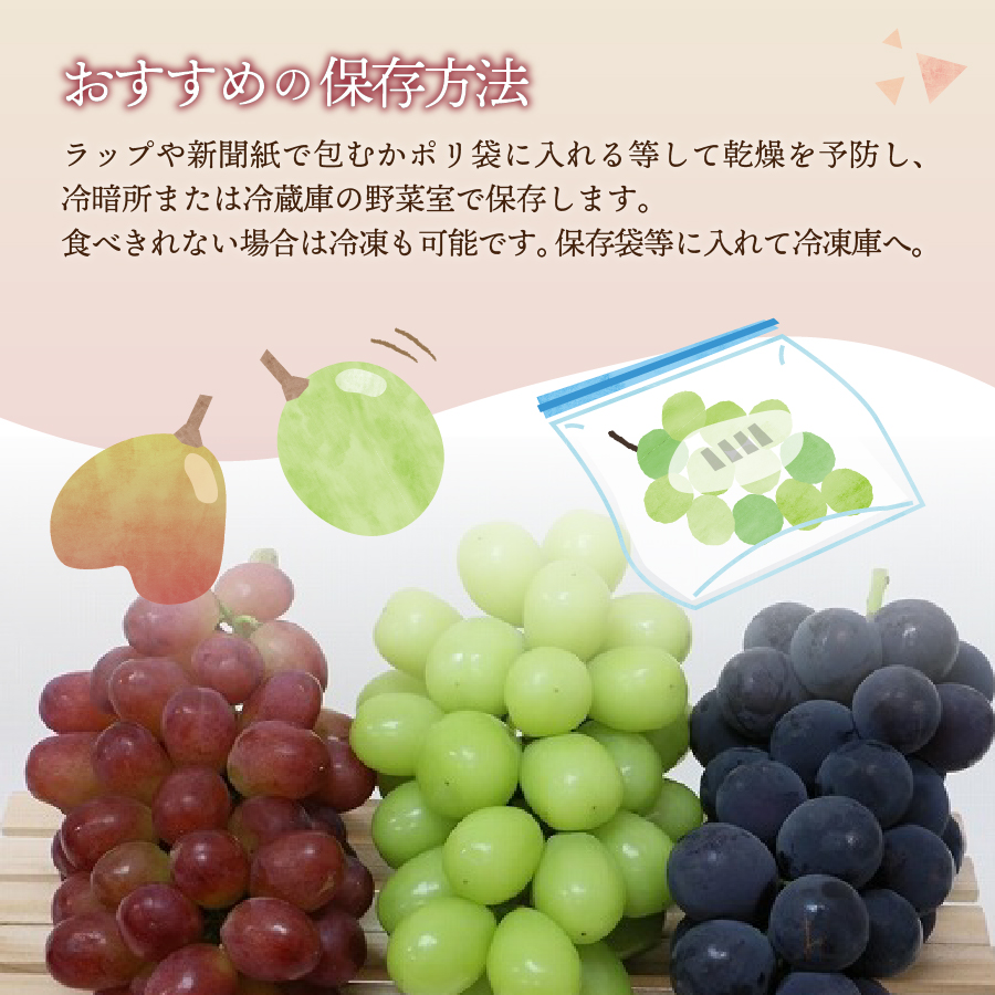 ぶどう　3種アソート