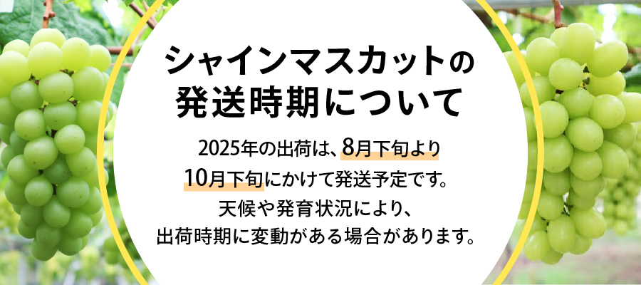 2025年先行予約】山梨県産 シャインマスカット2房 (1.2kg以上): 富士吉田市ANAのふるさと納税