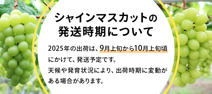 【2025年発送】【数量限定】【期間限定】産地直送 高級シャインマスカット2kg以上（3～4房）