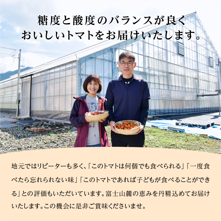 【限定50個】　無添加のフルーツトマトジャム　FUJITOMAジャム