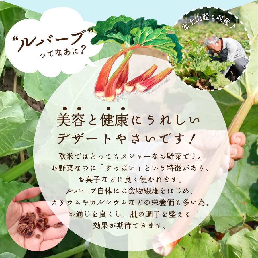 【年間12回配送 定期便】富士の恵み ルバーブグリーンスムージー
