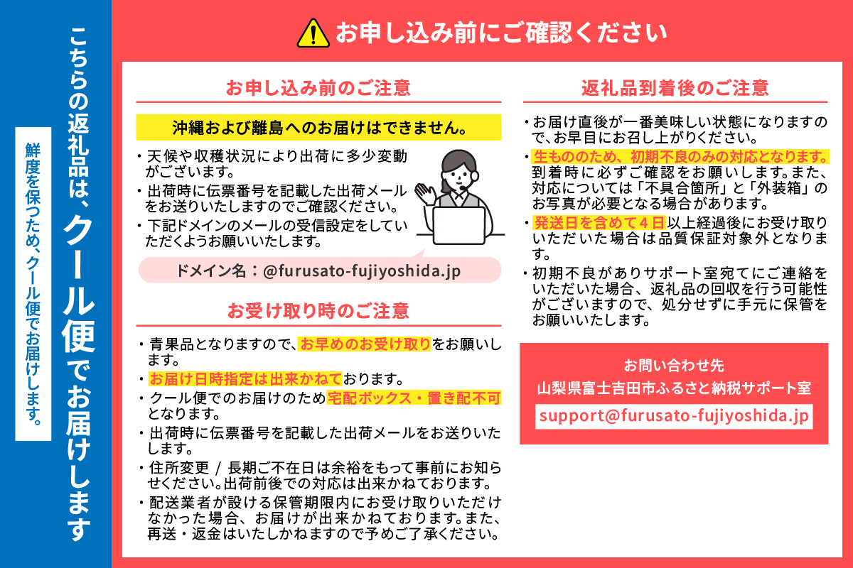 【2025年発送】【数量限定】【期間限定】山梨県産 紅秀峰 さくらんぼ (1kg) バラ詰め